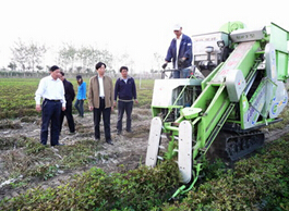 production de machine de cacahouete