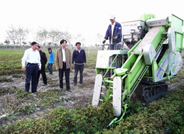 production de machine de cacahouete